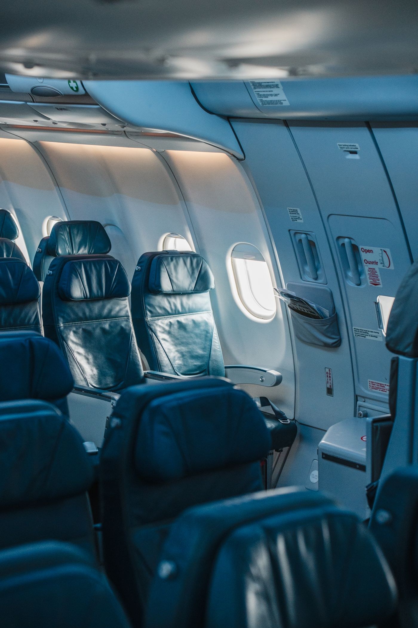 Rows of passenger seats inside an aircraft
