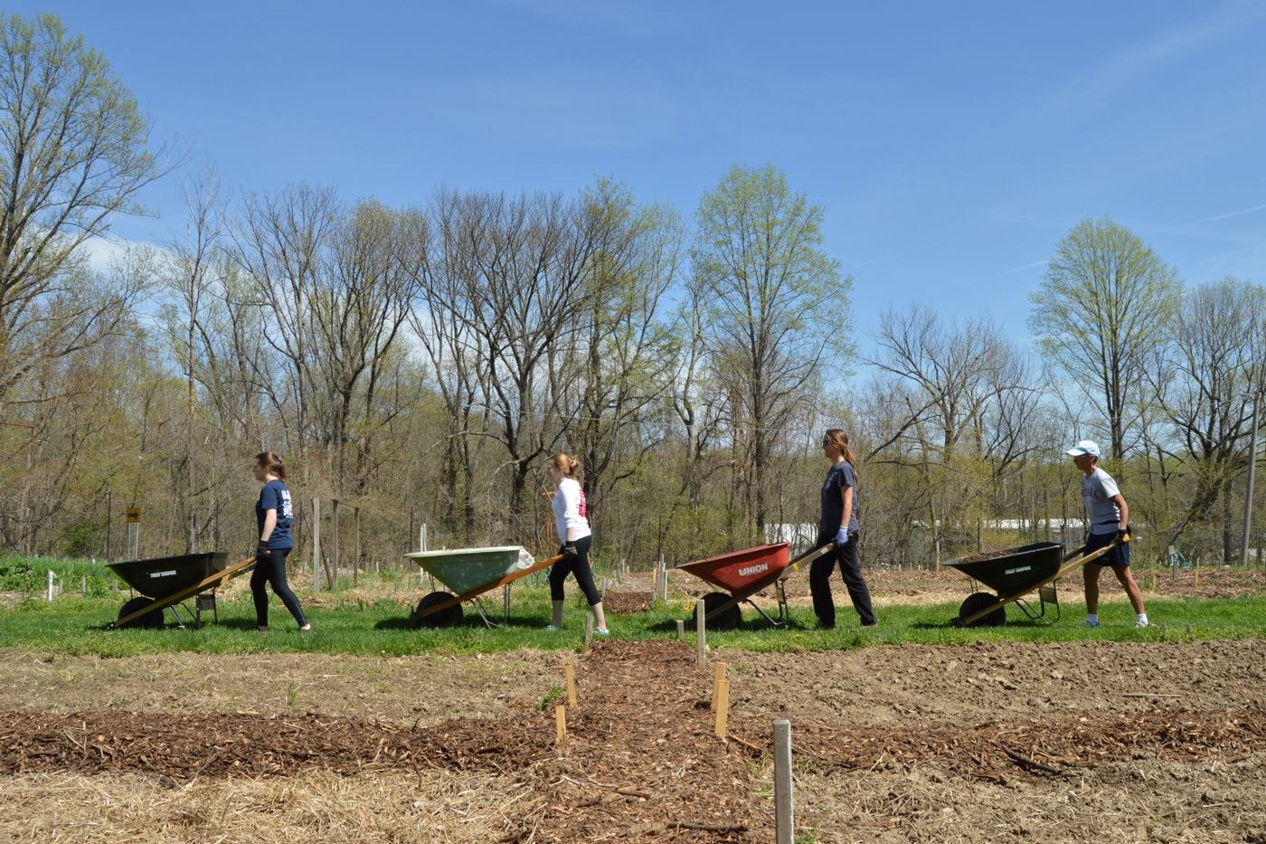 A group working together in a garden